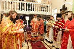 _MG_7010