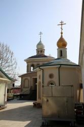 8U6A4555