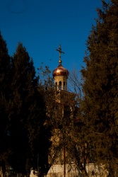IMG_2352